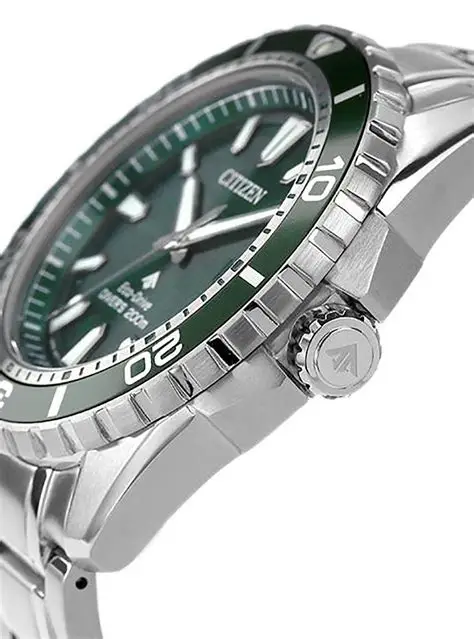 Reloj Citizen Promaster