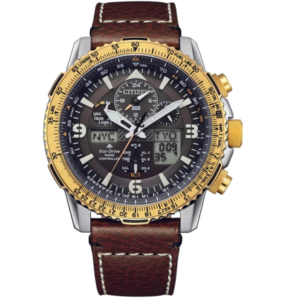 Reloj Citizen Promaster
